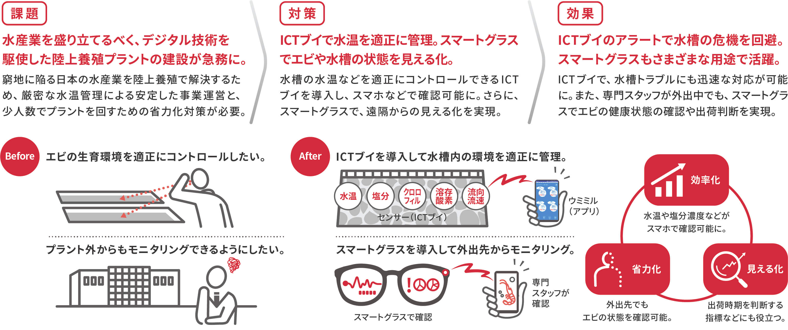 NTTグリーン＆フード株式会社