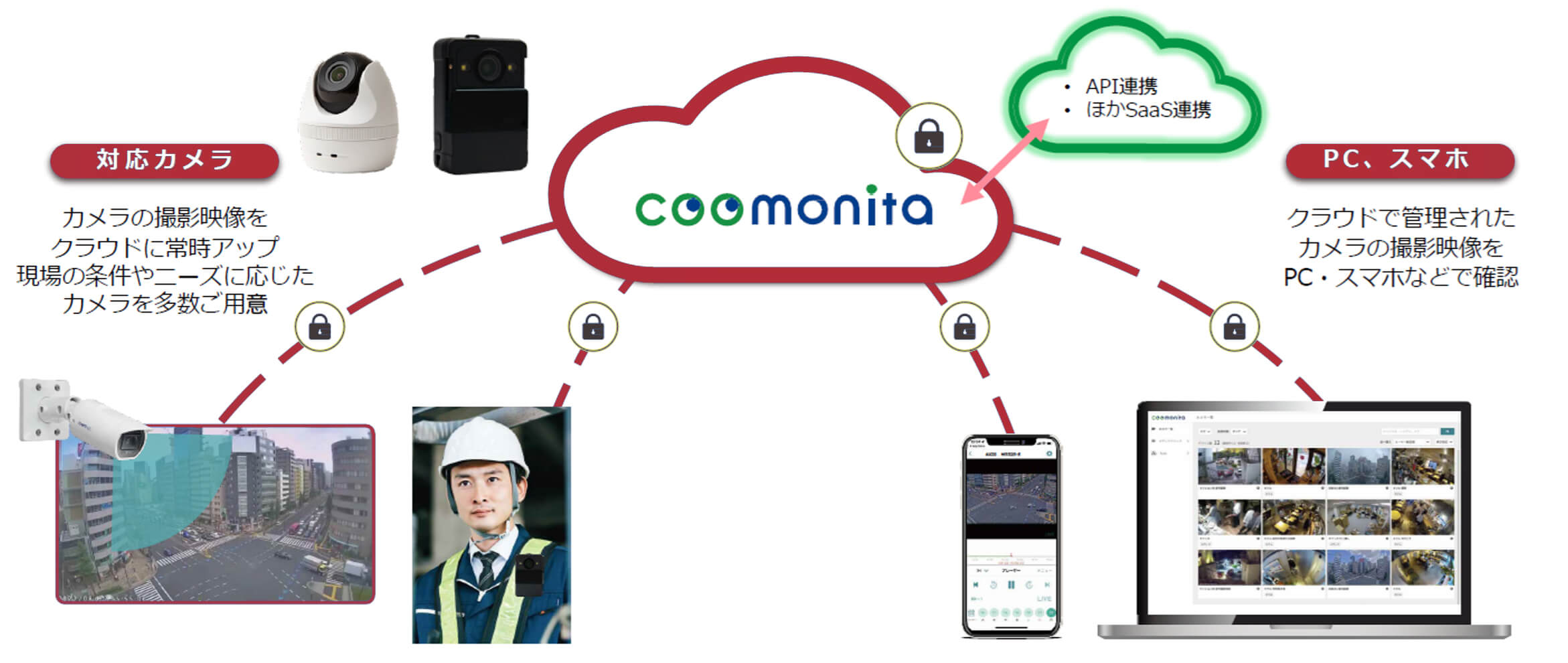 coomonitaの特徴
