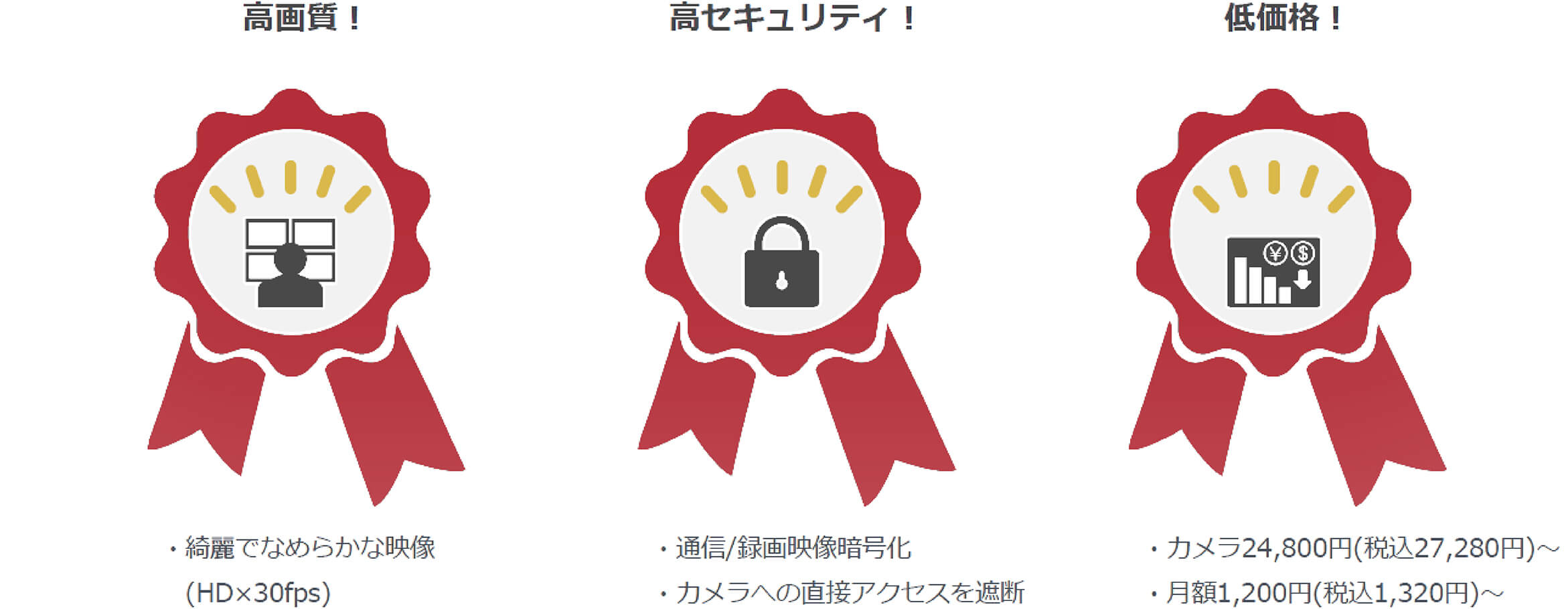coomonitaの特徴