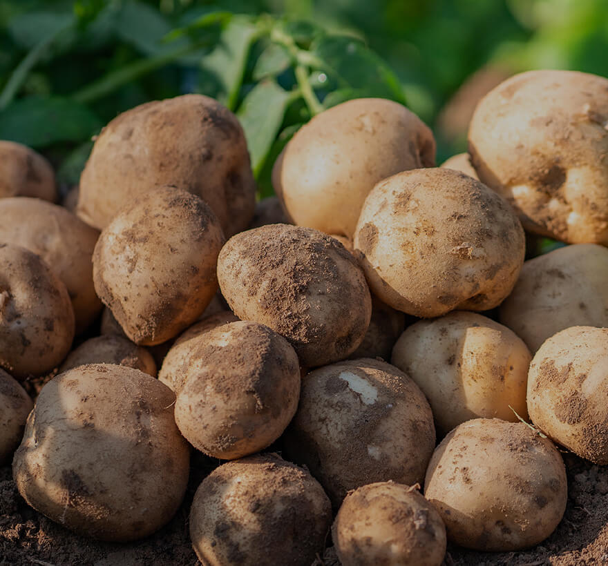 小売業×学校=SDGs