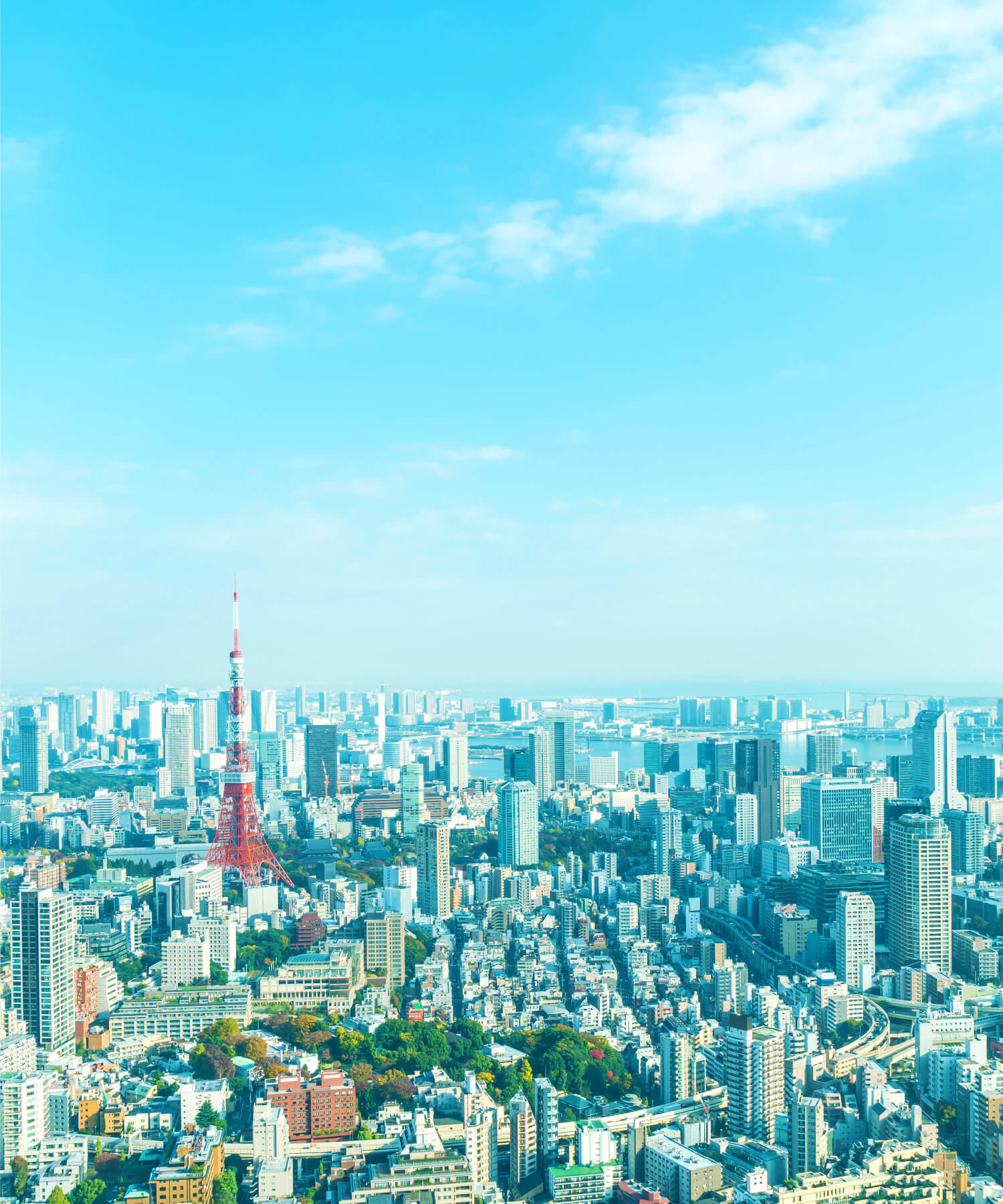 事業領域・職種紹介